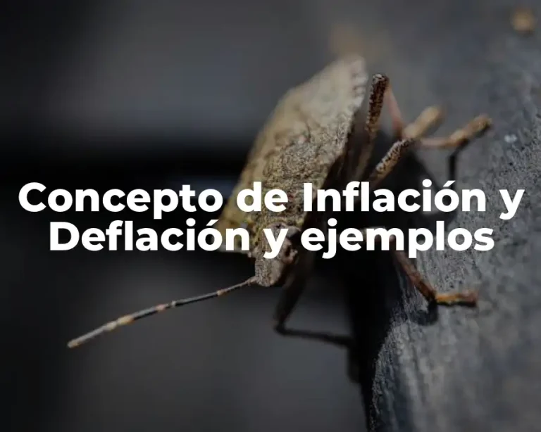 Concepto de Inflación y Deflación y ejemplos