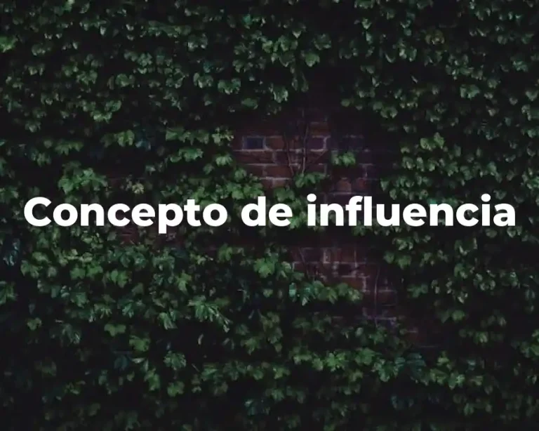 Concepto de influencia