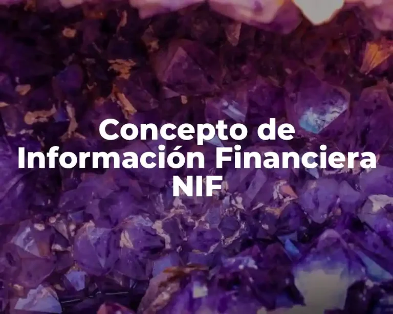 Concepto de Información Financiera NIF