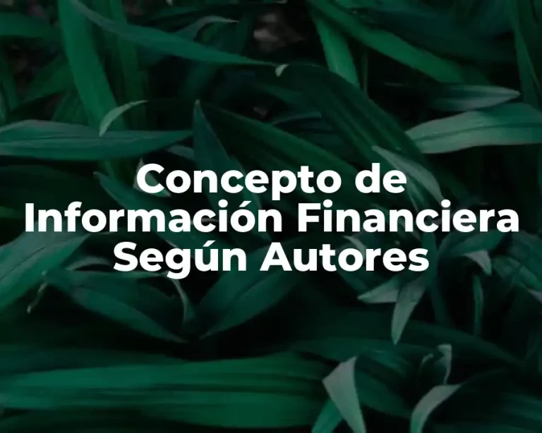Concepto de Información Financiera Según Autores