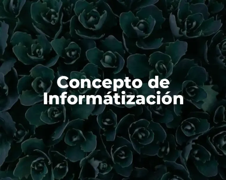 Concepto de Informátización