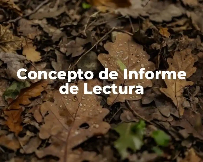 Concepto de Informe de Lectura