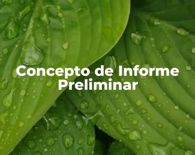 Concepto de Informe Preliminar