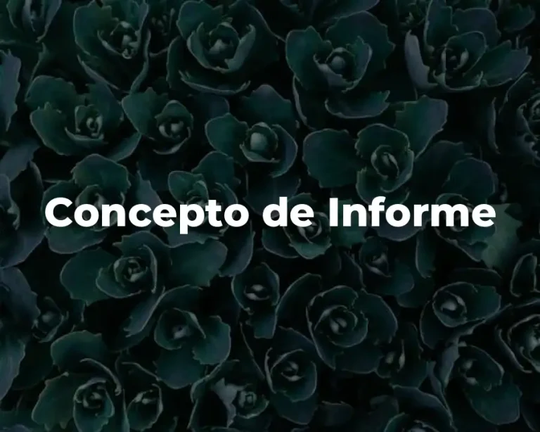 Concepto de Informe