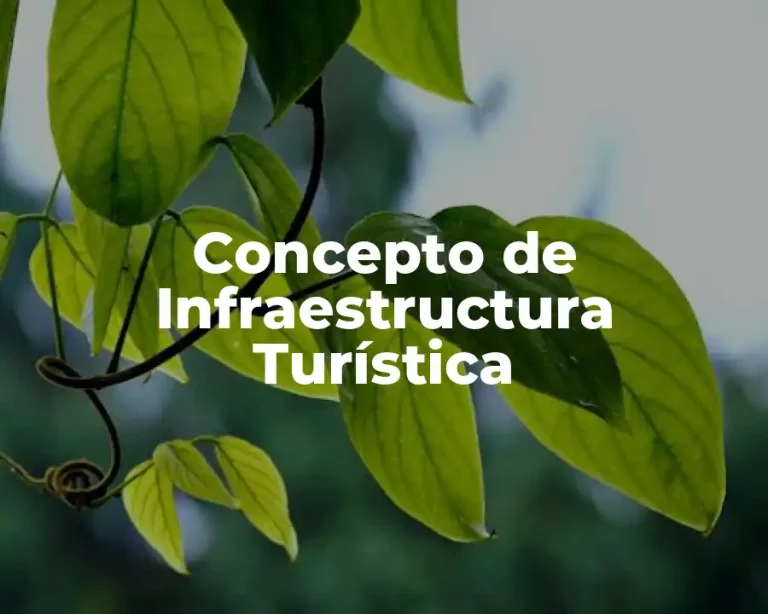 Concepto de Infraestructura Turística