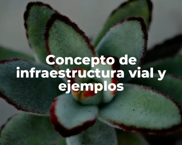 Concepto de infraestructura vial y ejemplos