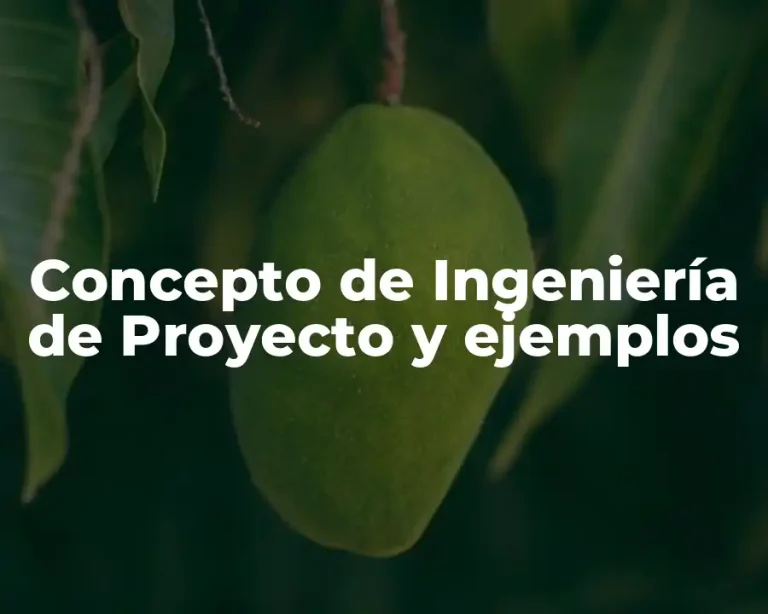 Concepto de Ingeniería de Proyecto y ejemplos