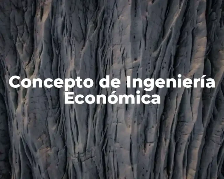 Concepto de Ingeniería Económica