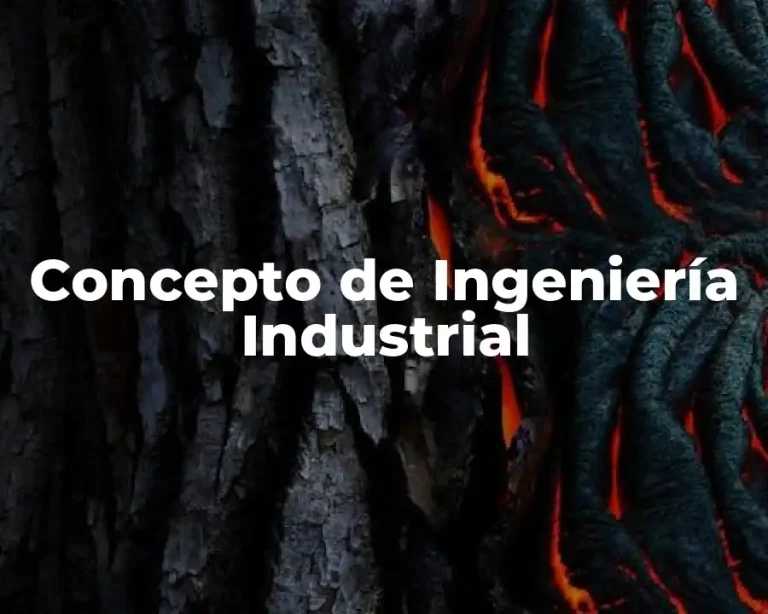 Concepto de Ingeniería Industrial