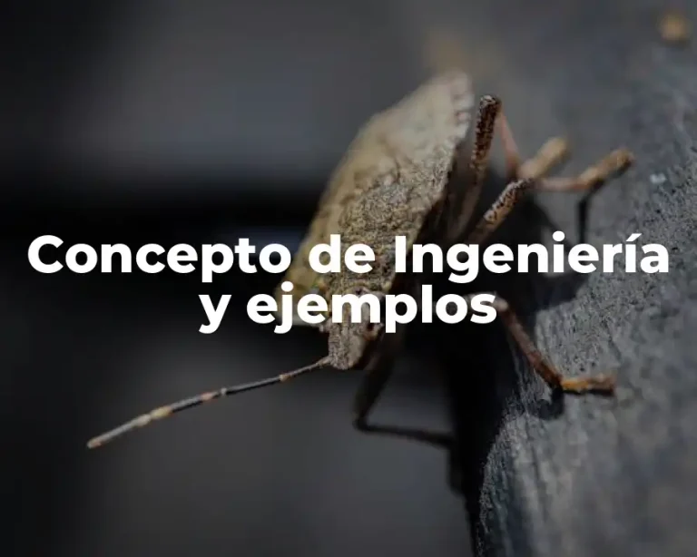 Concepto de Ingeniería y ejemplos