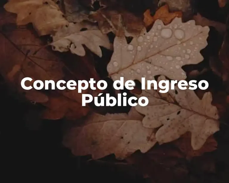 Concepto de Ingreso Público