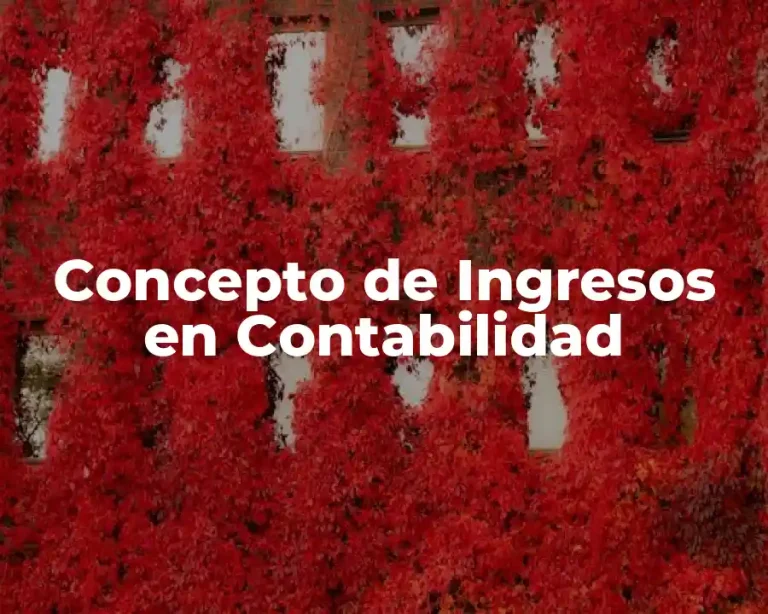 Concepto de Ingresos en Contabilidad