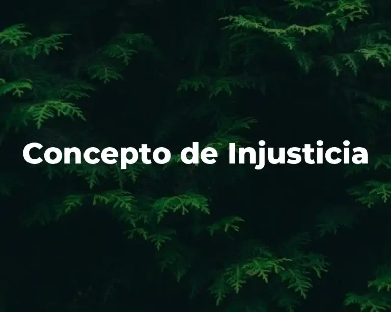 Concepto de Injusticia