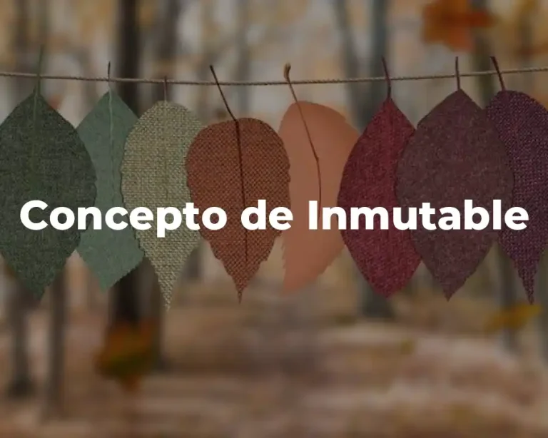 Concepto de Inmutable