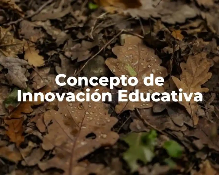 Concepto de Innovación Educativa