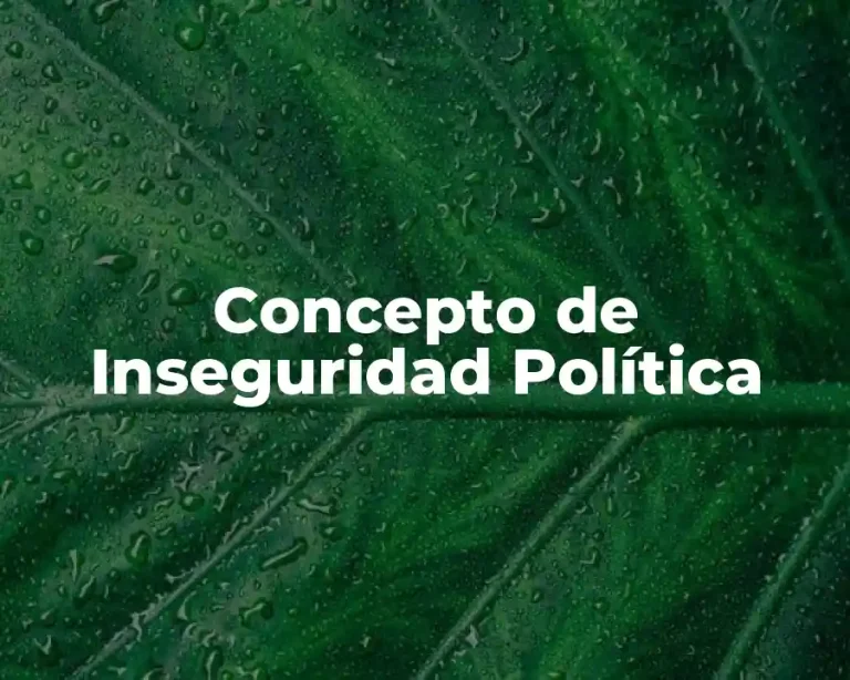 Concepto de Inseguridad Política