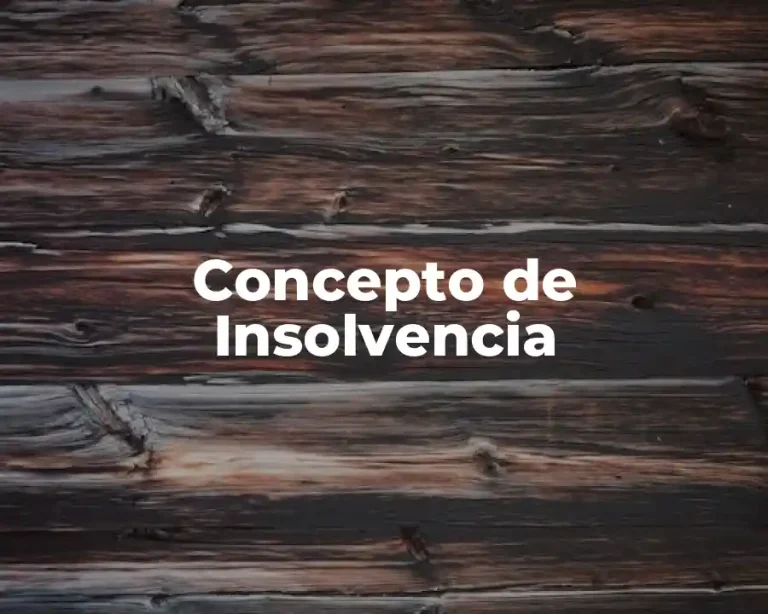 Concepto de Insolvencia