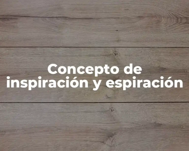 Concepto de inspiración y espiración