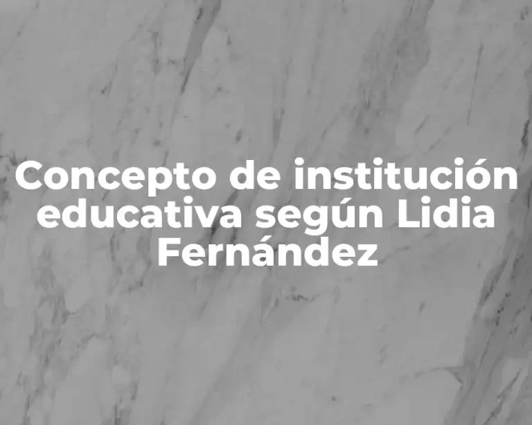 Concepto de institución educativa según Lidia Fernández