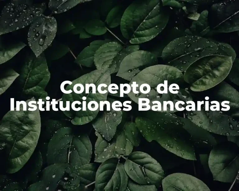 Concepto de Instituciones Bancarias