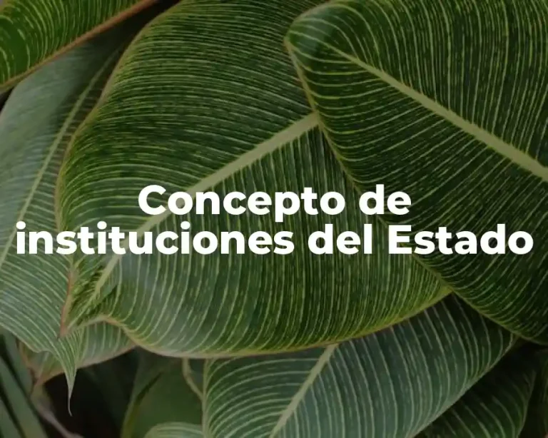 Concepto de instituciones del Estado