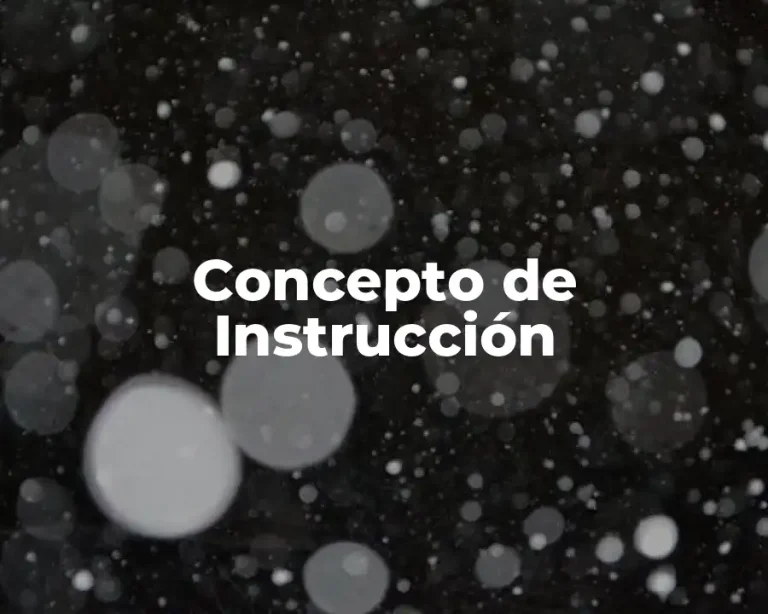 Concepto de Instrucción