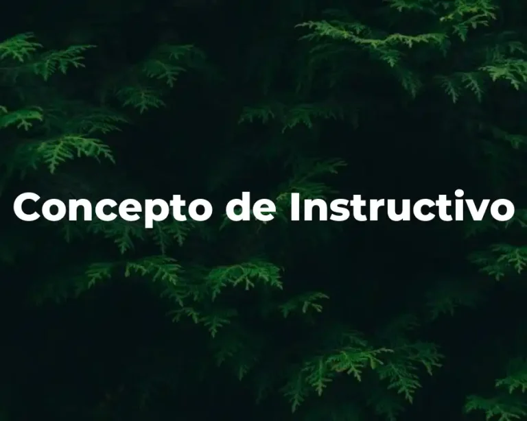 Concepto de Instructivo