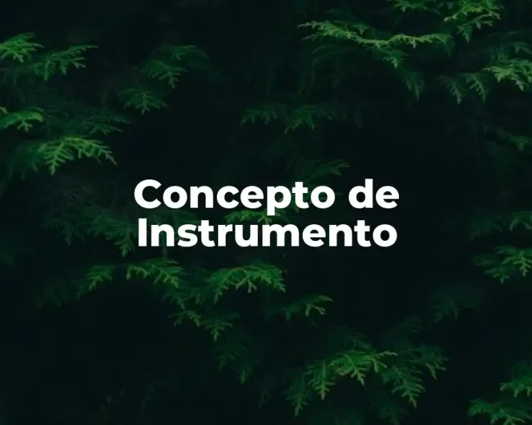 Concepto de Instrumento
