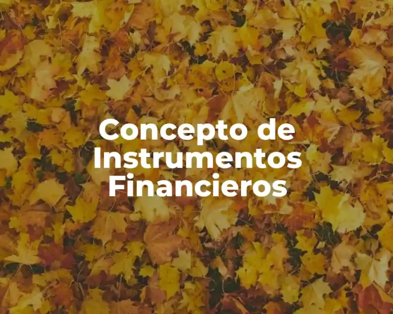 Concepto de Instrumentos Financieros