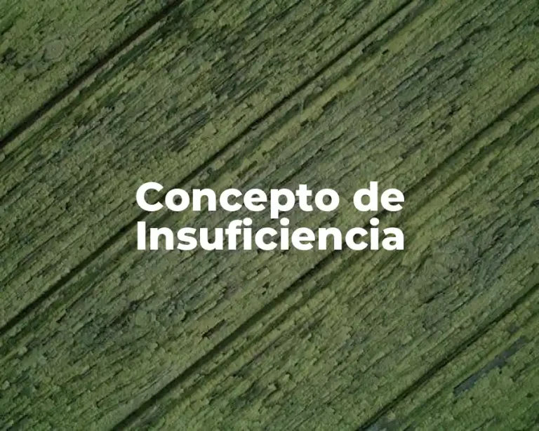 Concepto de Insuficiencia