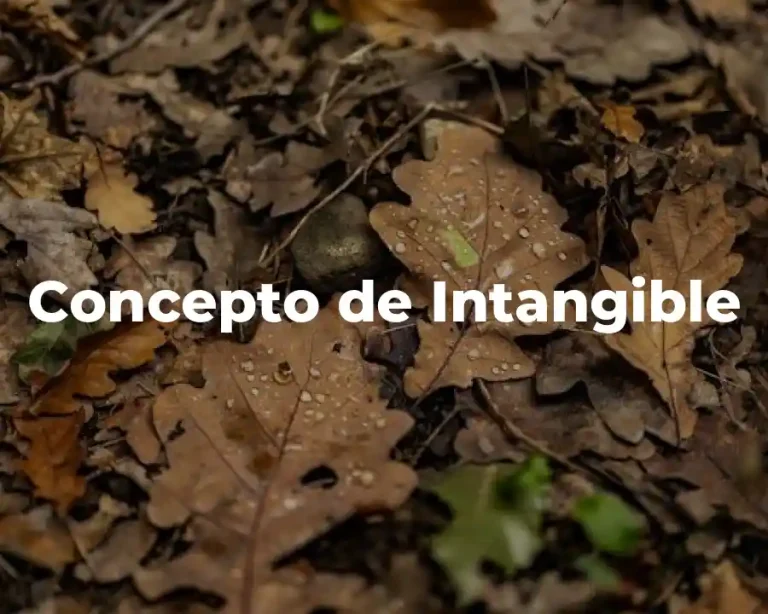 Concepto de Intangible