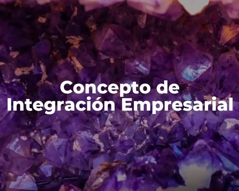 Concepto de Integración Empresarial