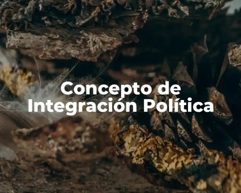 Concepto de Integración Política