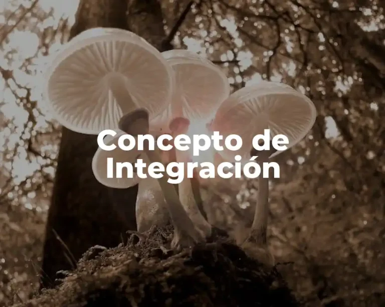 Concepto de Integración