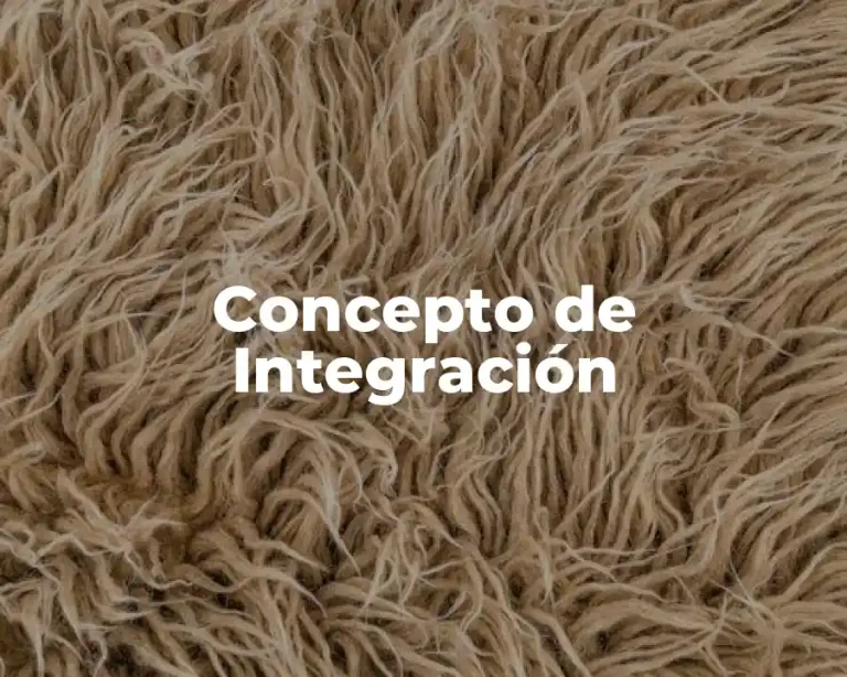 Concepto de Integración