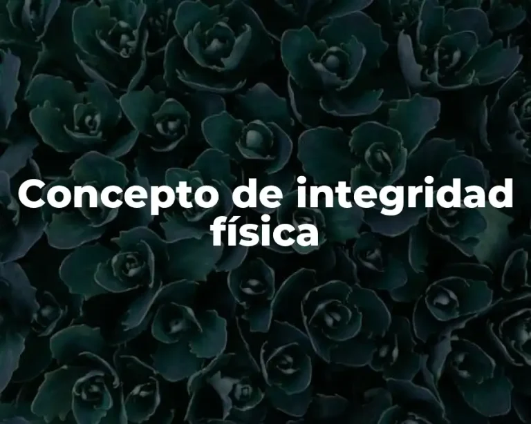 Concepto de integridad física