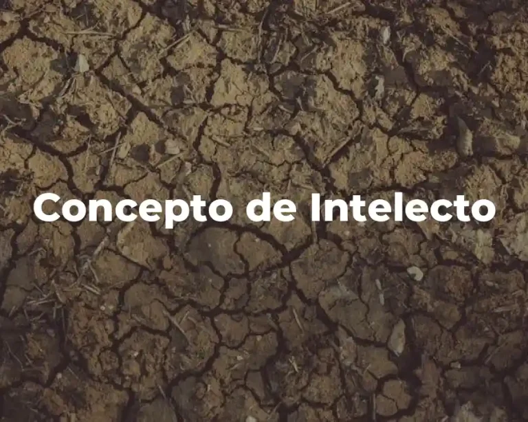 Concepto de Intelecto