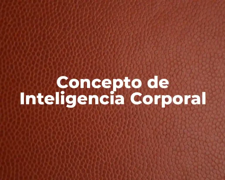 Concepto de Inteligencia Corporal