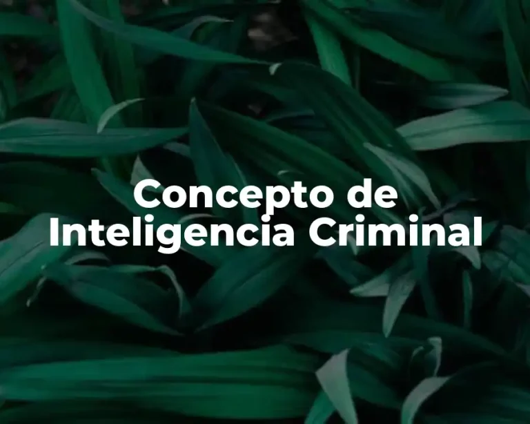 Concepto de Inteligencia Criminal