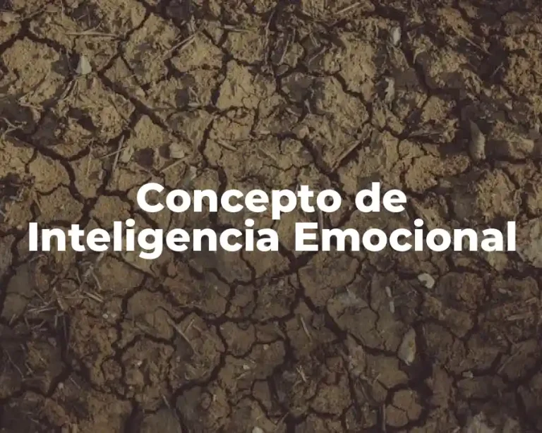 Concepto de Inteligencia Emocional