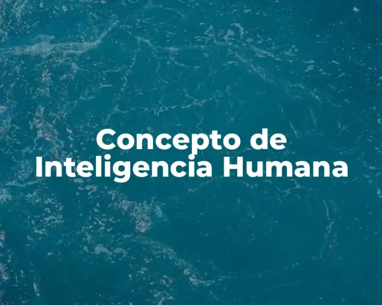 Concepto de Inteligencia Humana