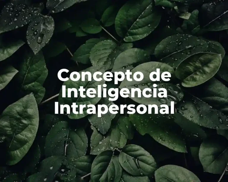Concepto de Inteligencia Intrapersonal