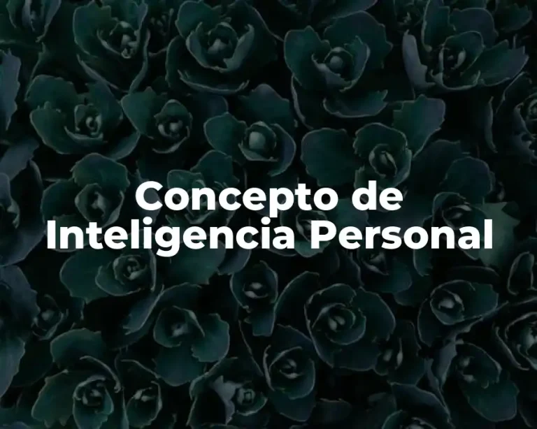 Concepto de Inteligencia Personal