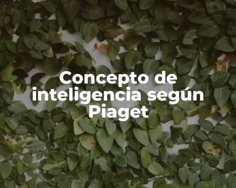Concepto de inteligencia según Piaget