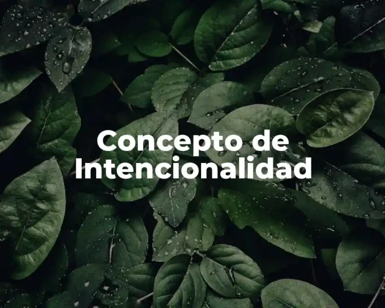 Concepto de Intencionalidad