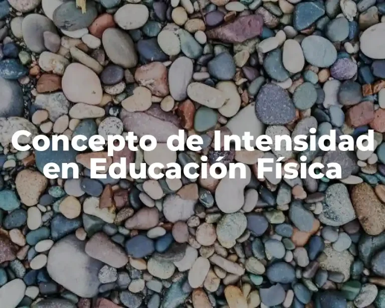Concepto de Intensidad en Educación Física