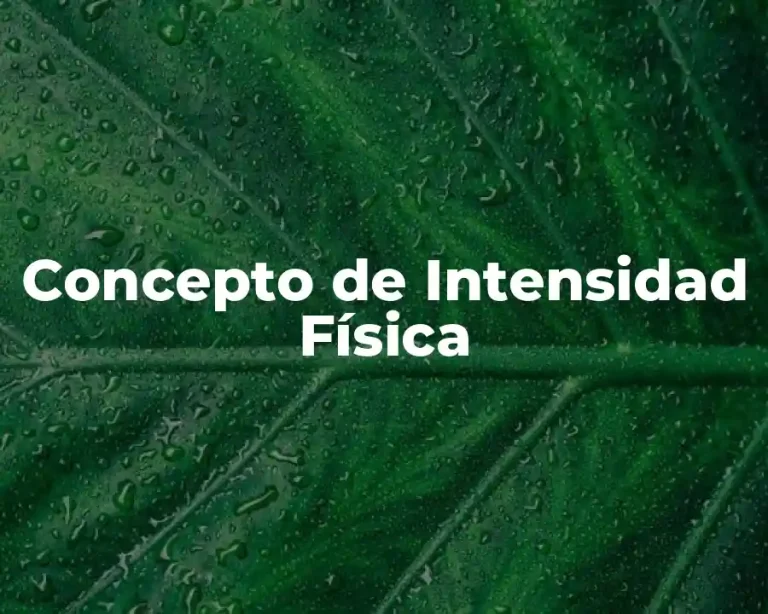 Concepto de Intensidad Física