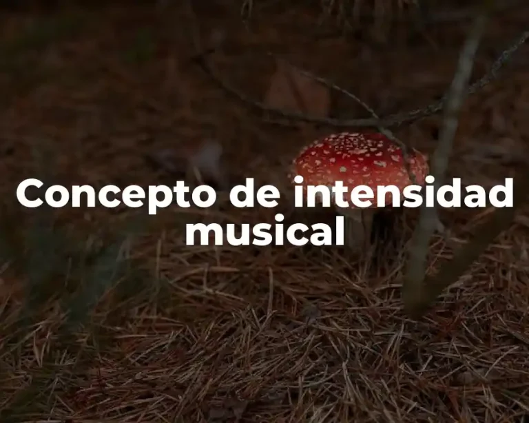 Concepto de intensidad musical
