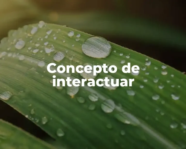 Concepto de interactuar