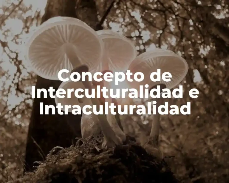 Concepto de Interculturalidad e Intraculturalidad